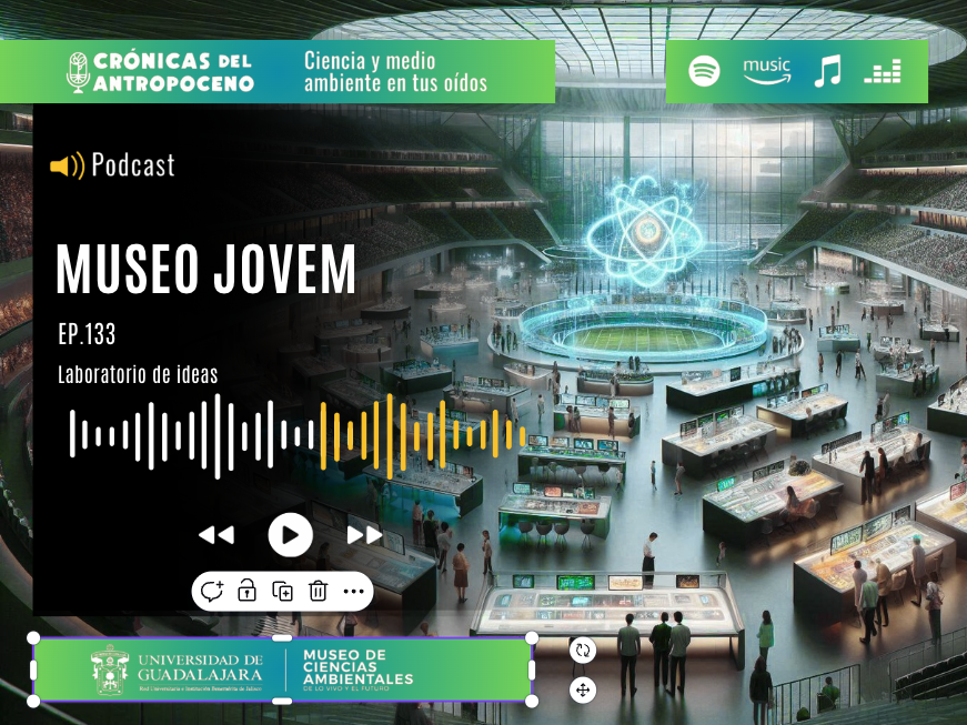 MUSEO JOVEM