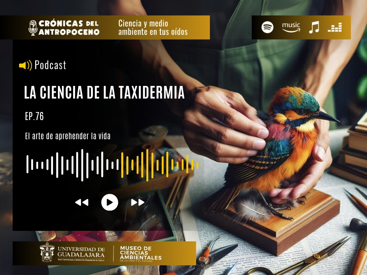 LA CIENCIA DE LA TAXIDERMIA