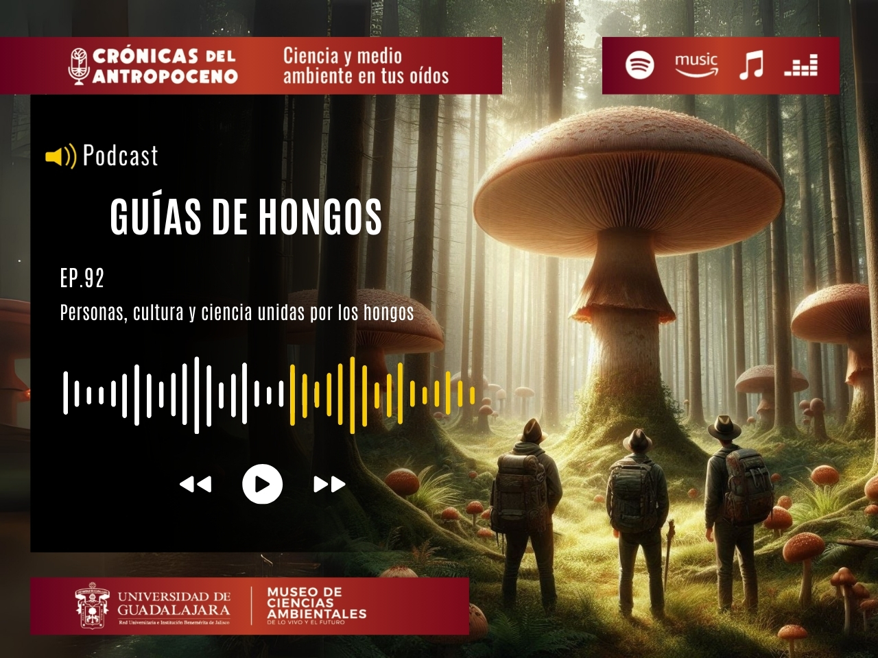 GUÍAS DE HONGOS