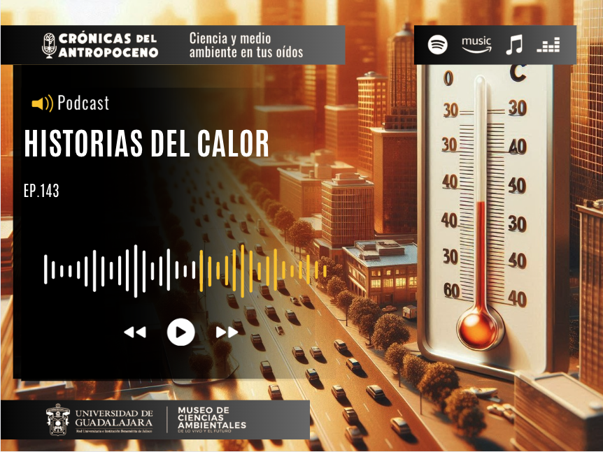 HISTORIAS DEL CALOR