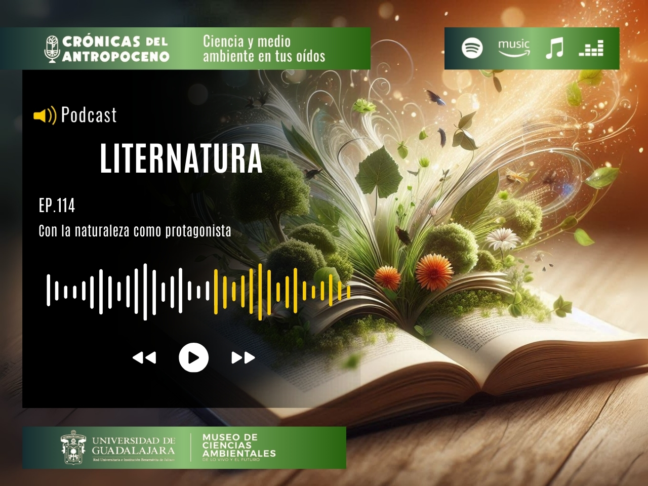LITERNATURA