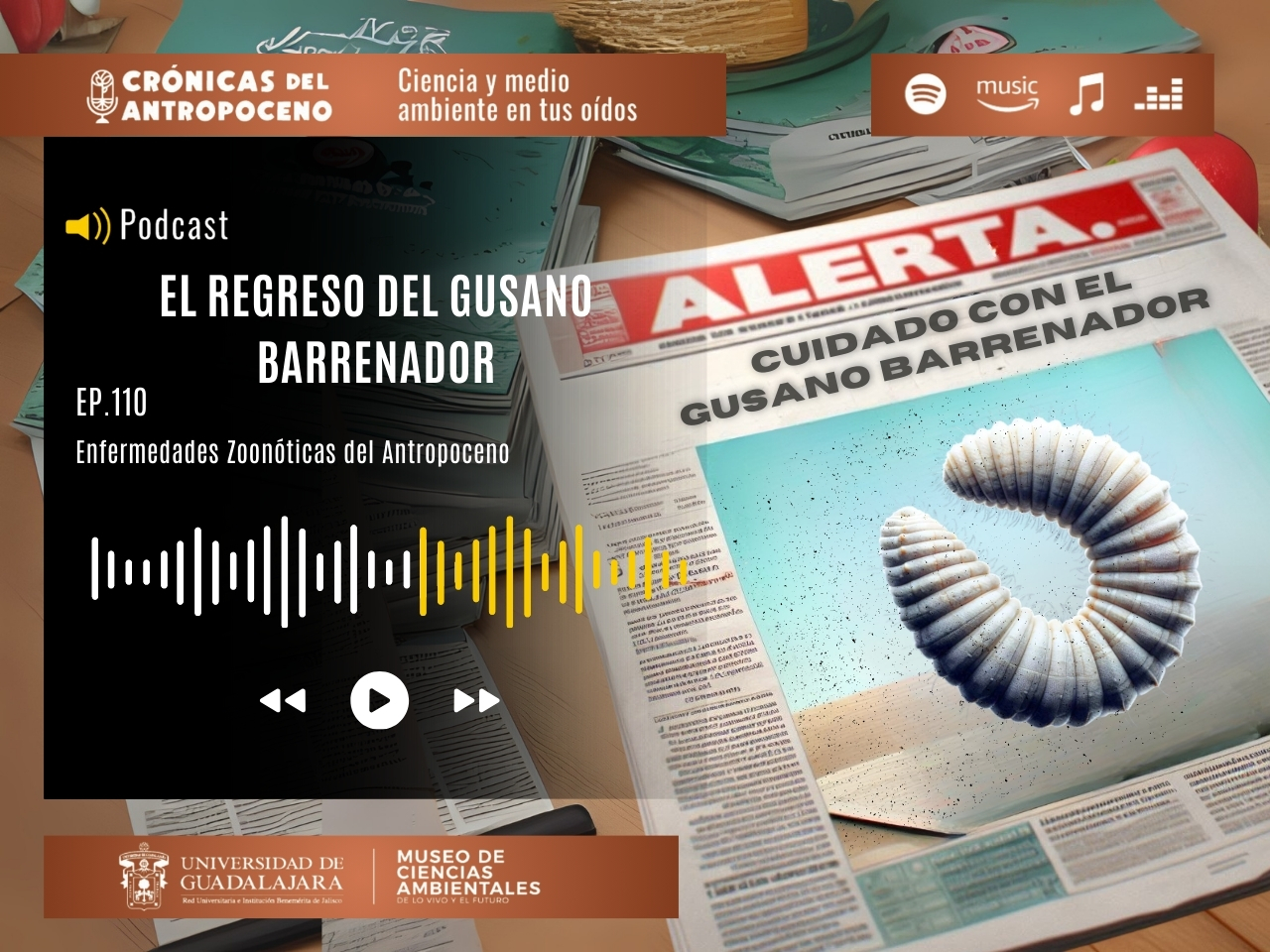 EL REGRESO DEL GUSANO BARRENADOR