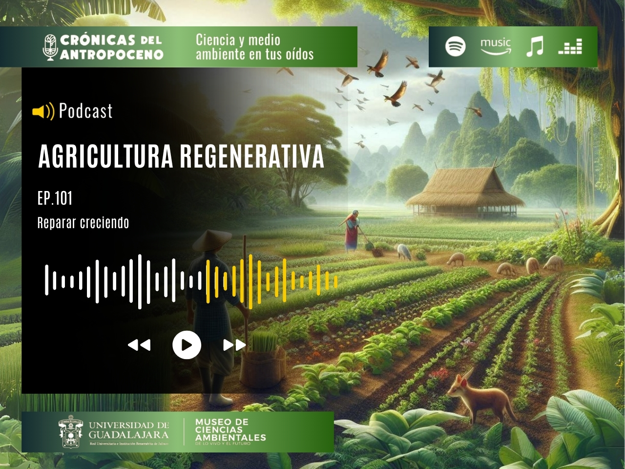 AGRICULTURA REGENERATIVA