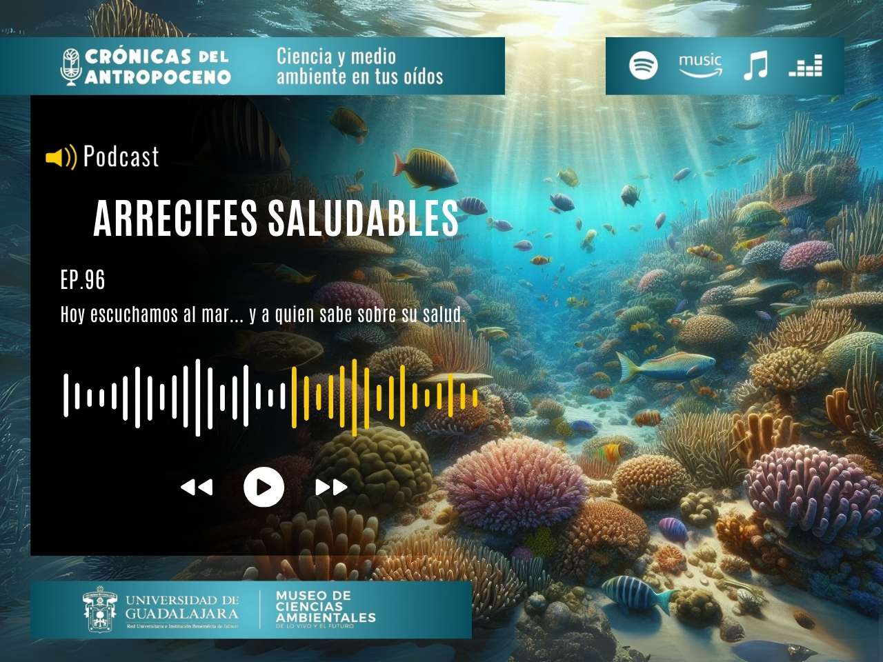 ARRECIFES SALUDABLES