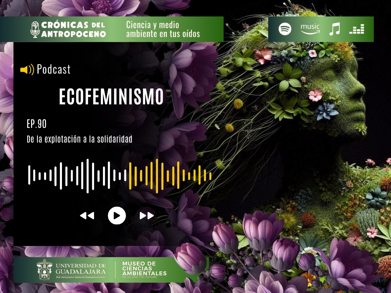 ECOFEMINISMO