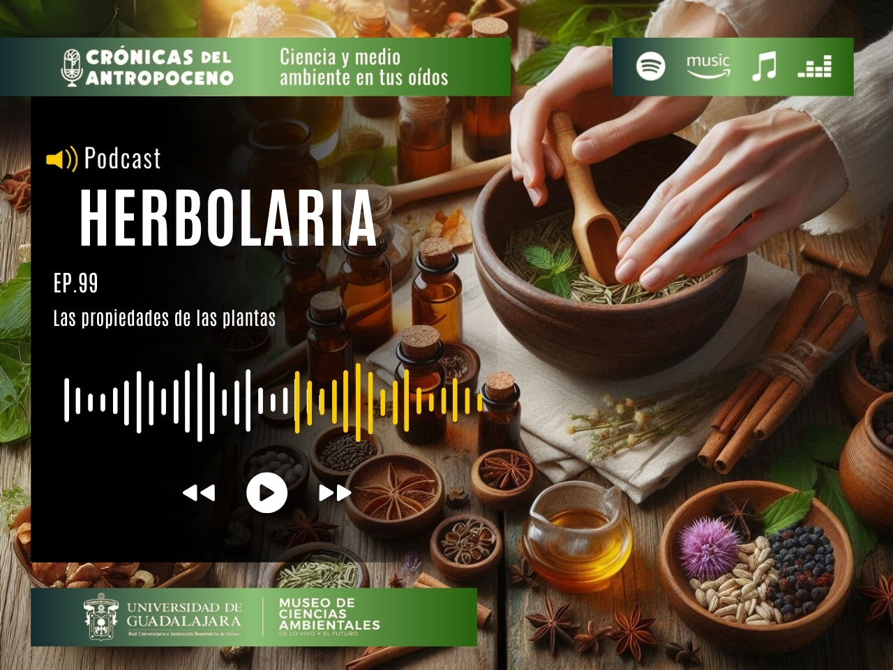 HERBOLARIA