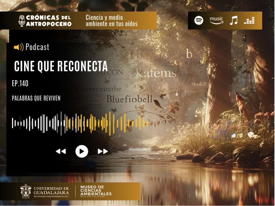 CINE QUE RECONECTA