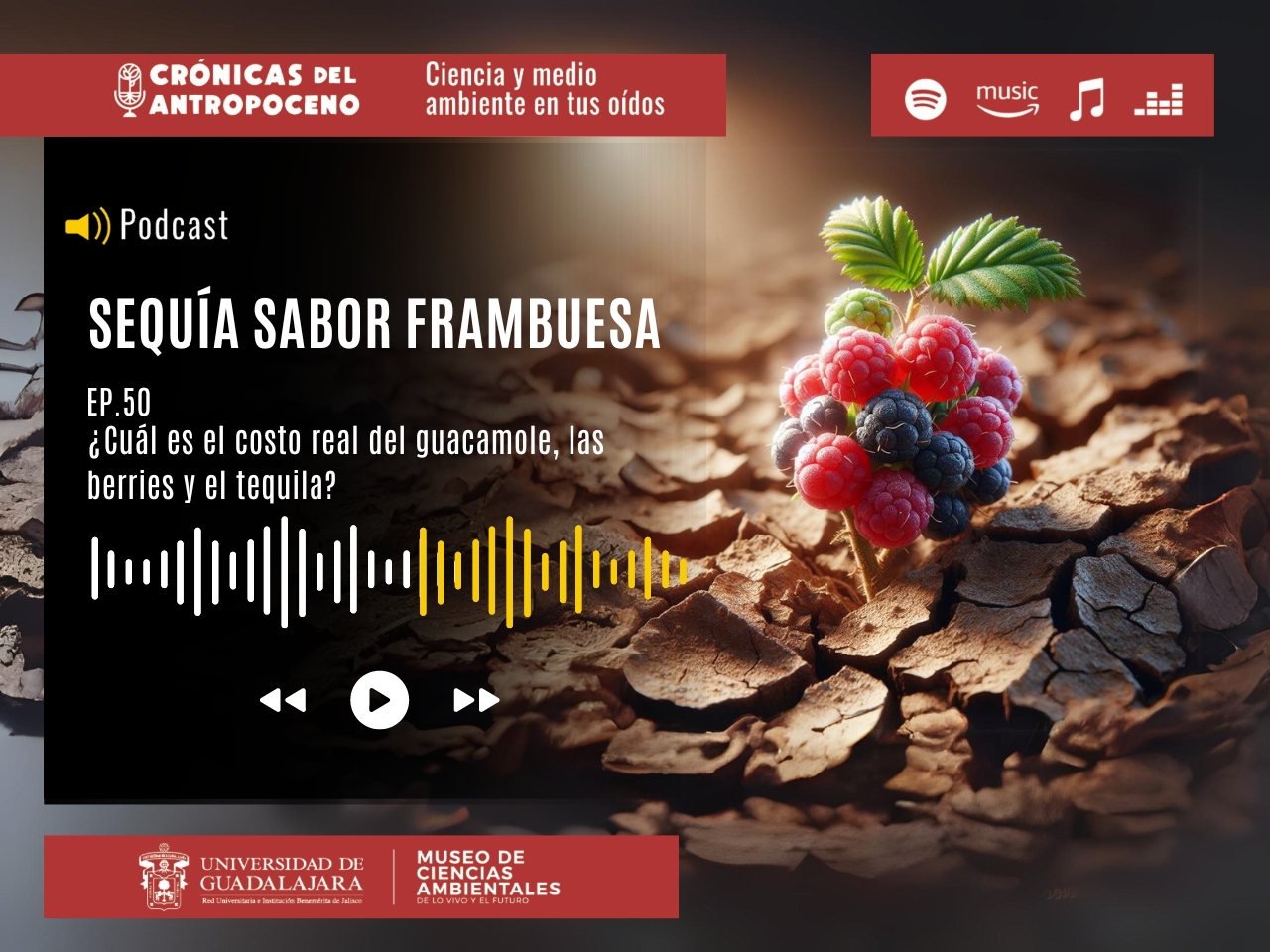 SEQUÍA SABOR FRAMBUESA