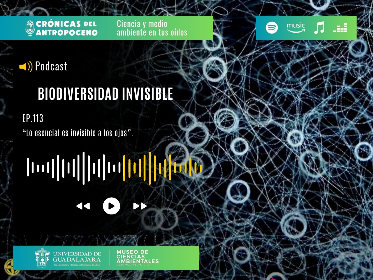 BIODIVERSIDAD INVISIBLE